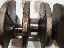 Fiat Tipo Crankshaft 