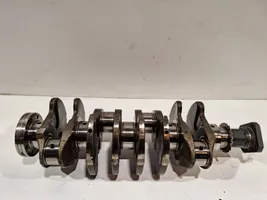 Fiat Tipo Crankshaft 