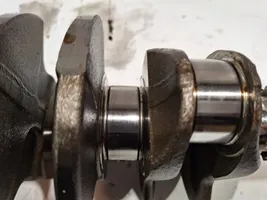 Fiat Tipo Crankshaft 