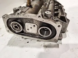 Iveco Daily 35.8 - 9 Culasse moteur 504010018