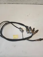 Volvo XC90 Sonde lambda 8670279