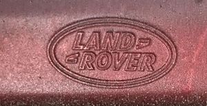 Land Rover Range Rover Sport L320 Rivestimento della portiera anteriore (modanatura) AH3M20879AAW