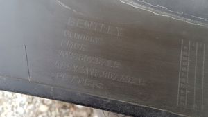 Bentley Continental Etupuskurin reuna 3W3807521B