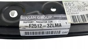 Nissan Sentra B17 Support de montage de pare-chocs avant F25123ZLMA