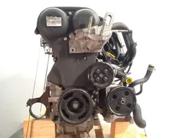 Ford Focus Engine HWDA