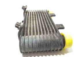 Ford Ranger Chłodnica powietrza doładowującego / Intercooler 4518371