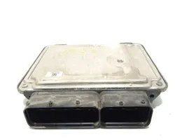 Opel Signum Sterownik / Moduł ECU 55197150