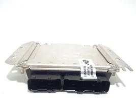 Hyundai Santa Fe Sterownik / Moduł ECU 3912127312