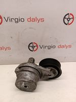 Chevrolet Captiva Napinacz paska alternatora 25182787