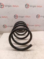 Hyundai Santa Fe Rear coil spring 