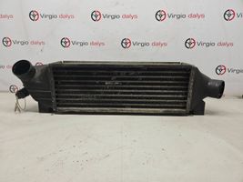 Ford Transit Chłodnica powietrza doładowującego / Intercooler 1C159L440BD