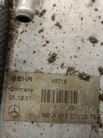 Mercedes-Benz ML W163 Radiatore del carburatore (radiatore) A6120700079