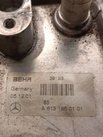 Mercedes-Benz ML W163 Radiatore dell’olio del motore A6131880101