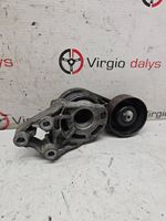 Skoda Fabia Mk1 (6Y) Tensor de la correa del alternador 045903315