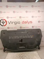 Renault Laguna III Viršutinė dalis radiatorių panelės (televizoriaus) 620780001R