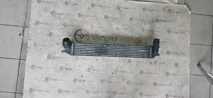 Renault Laguna III Chłodnica powietrza doładowującego / Intercooler V3579001