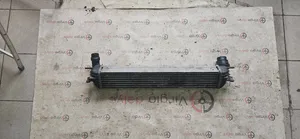 Renault Laguna III Chłodnica powietrza doładowującego / Intercooler V3579001