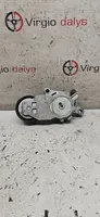 Peugeot 206 Tendicinghia generatore/alternatore Tf049