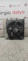 Peugeot 207 Ventilatore di raffreddamento elettrico del radiatore 9653804080