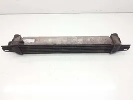 Citroen Nemo Chłodnica powietrza doładowującego / Intercooler 0384L7