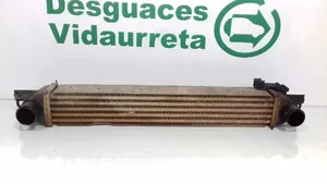 Fiat Qubo Chłodnica powietrza doładowującego / Intercooler 51790623