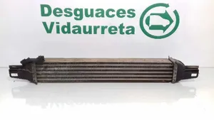 Fiat Qubo Chłodnica powietrza doładowującego / Intercooler 51790623