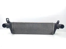 Volkswagen Multivan T5 Intercooler radiator 7E0145804C