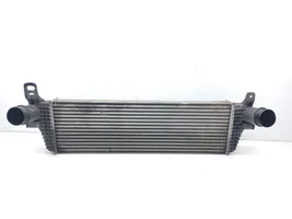 Volkswagen Multivan T5 Intercooler radiator 7E0145804A