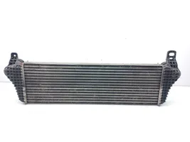 Volkswagen Multivan T5 Intercooler radiator 7E0145804A