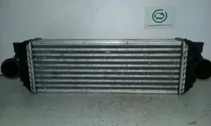 Ford Tourneo Starpdzesētāja radiators 7T169L440AD