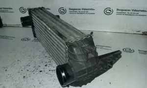 Ford Tourneo Starpdzesētāja radiators 4999282