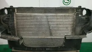 Mercedes-Benz R AMG W251 Chłodnica powietrza doładowującego / Intercooler A2515000000