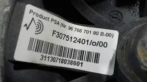 Citroen C4 I Picasso Priekinė spyruoklė 9676670180B