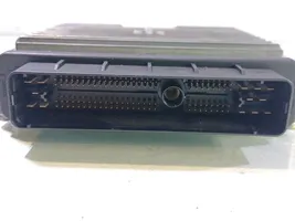 SsangYong Rodius Komputer / Sterownik ECU silnika A6655404032