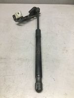 Land Rover Discovery Sport Ammortizzatore portellone anteriore/cofano 5411200295N