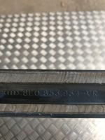 Audi A4 S4 B7 8E 8H Rivestimento della portiera anteriore (modanatura) 8E0853954