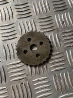 Audi A4 S4 B7 8E 8H Timing chain sprocket 079109570AP