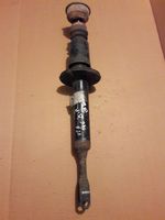 Volkswagen PASSAT B5.5 Ammortizzatore anteriore 3B0413031