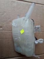 Renault Scenic III -  Grand scenic III Vase d'expansion / réservoir de liquide de refroidissement 217100005R