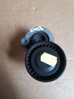 Renault Kadjar Tendicinghia dell’alternatore 117500113R