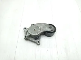 Volvo C30 Napinacz paska alternatora 846143