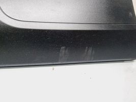 Citroen C5 Aircross Rivestimento della portiera anteriore (modanatura) 98200820ZR