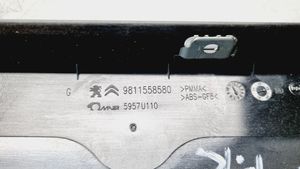 Citroen DS7 Crossback Apdaila priekinių durų (moldingas) 9811558580