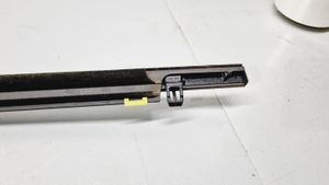 Honda CR-V Rear door trim (molding) 72950TNYJ01