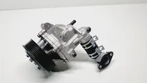 Hyundai Kona I Water pump 2510003HB0