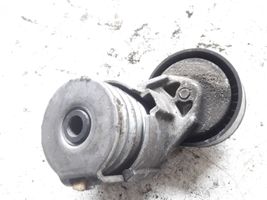 Renault Megane II Generator/alternator belt tensioner 