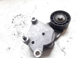 Volvo S40 Napinacz paska alternatora 419484