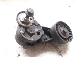 Volvo S60 Generator/alternator belt tensioner 