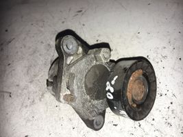 Hyundai i20 (PB PBT) Napinacz paska alternatora 252812A000