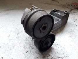 Ford Connect Generator/alternator belt tensioner 